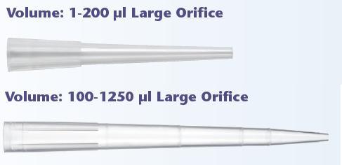 QSP�˜�響����^