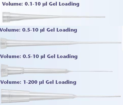 ��Ʒ���Q��QSP��(bi��o)��(zh��n)���z�c�����^